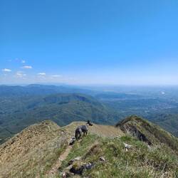 Schöner Blick am schmalen Grat
