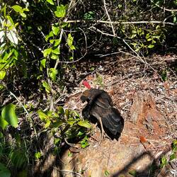 And some wildlife besides spiders 😅