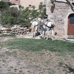 one way of moving goods!