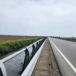 Walking on the main road