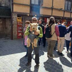 Ottima scelta lo zaino porta-Milù 😉