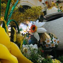 Bellagio Lobby