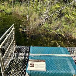 do not swim, crocodile is on the way