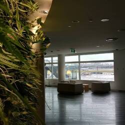 Some 'stock' First Lounge pics!