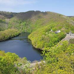 Staumauer in der Urft