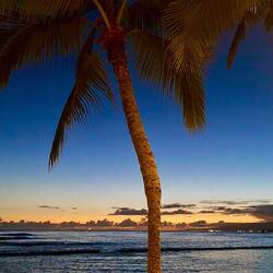 Da ist er wieder, unser Sonnenuntergang