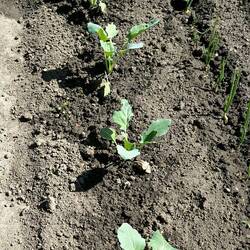 nun wachst mal schön!