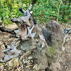 here again termites 🐜