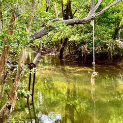 despite warnings, people seem to go swimming here