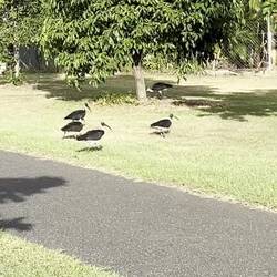 I met these nice guys