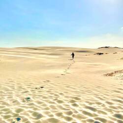 🌬 Saharafeeling 🏜