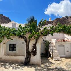 Manche sind wunderschön herausgeputzt,..