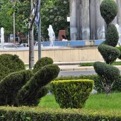 skurrile Gartenkunst