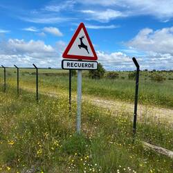 We keep getting told to remember deer, I always remember deer. Not quite that senile yet.