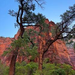 Der Frühling hat auch hier schon Einzug gehalten, die Laubbäume sind fast alle grün
