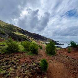 Cesta na pláž Ovahe