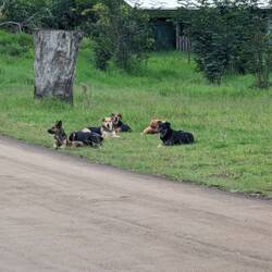 Takhle na nás čekali