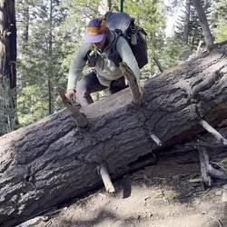 Klettern konnte ich auch schon mal besser 😅