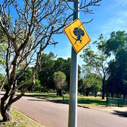other traffic signs