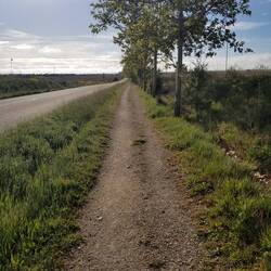 We walk long and straight paths beside the road