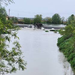Torrents Agogna, just outside of Nicorvo