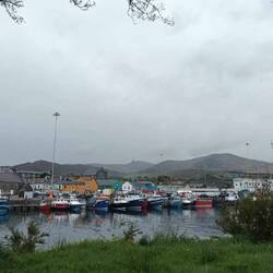 Fleet at Castletownbare