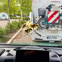 Schöne Überraschung. Danke ihr blöden Vögel