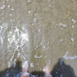 Technisch gesehen im Pazifik geschwommen 💪