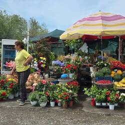 auf den Landstraßen werden am Straßenrand immer wieder eigene Erzeugnisse angeboten