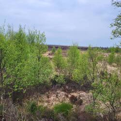 Urmoor auf irisch: bog