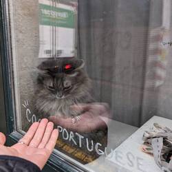 Devastating to be separated by this PH, I'll come back for you tomorrow my angel