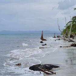 Im Cahuita Nationalpark