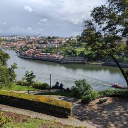 Another acceptable view ft adorable selfie stick family