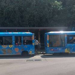 Free bus trolley that travelled the 10kms round trip to all the different resorts n swimming beaches