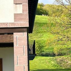 Cows on the hill...