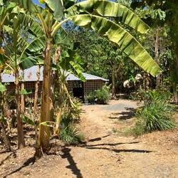 Modest homes Palawan Island.