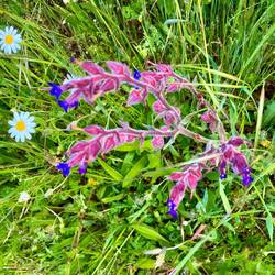 Still had to notice the flowers!