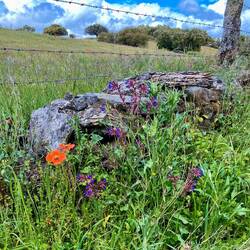 We stopped in this area to change into dry socks