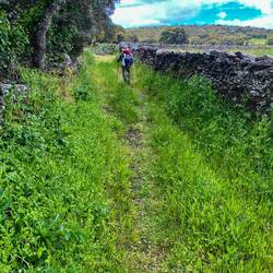 I really liked this section with all the Stone fences
