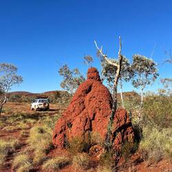 Ein knapp 2.5m hoher Termitenhügel