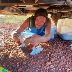 Die Hände im Öl...