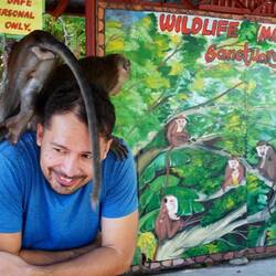 Pure Affen Geniessung