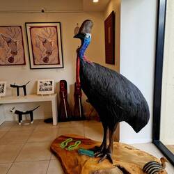 Helmkasuare wiegen bis 70 kg und rennen bis zu 50 km/h, vom aussterben bedrohter Dinosaurier Vogel