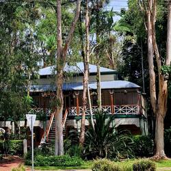 typisch hochgelegenes Queenslanderhaus aus der Viktorianischen Zeit 1840, mit grosser Veranda