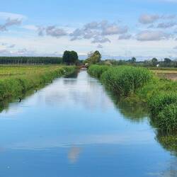 Subdiramatore Mortara