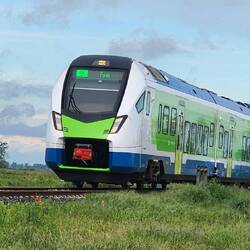 The darling little local train