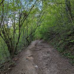 Hardcore bergauf... Ich habe geschoben