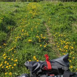 Auch das nennt sich Weg