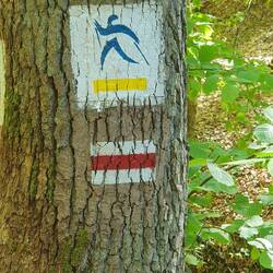 Hier geht's sportlich zu