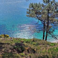 Cap de la Chèvre